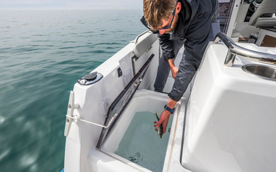 Beneteau Antares 8 Fishing