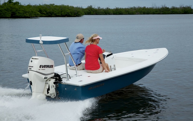 Bluewater 160 Pro