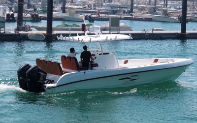 Ocean Boats 31S