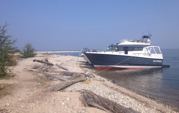 Sargo 36 Fly