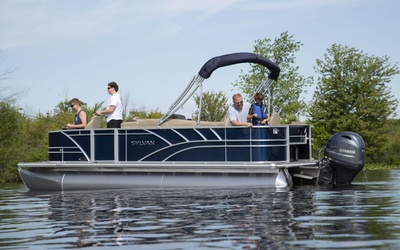 Sylvan Mirage Fish 8520