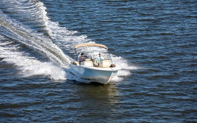 Scout 195 Sport Dorado