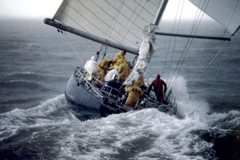 Why do the French dominate offshore regattas...