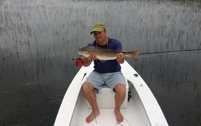 Dragonfly 15' Marsh Hen