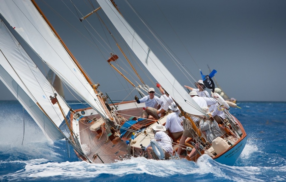 Dorade