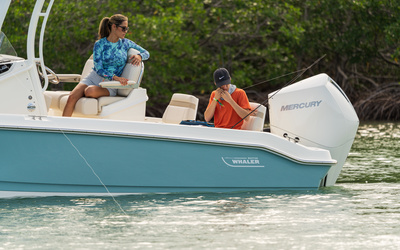 Boston Whaler 250 Dauntless