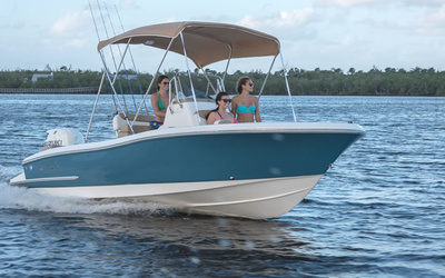 Pioneer Islander 202