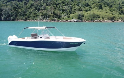 Fishing Raptor 320 СС