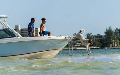 Boston Whaler 240 Vantage