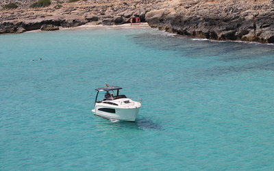 Balt Balt 818 Titanium