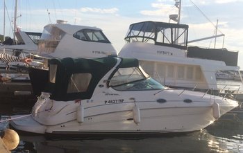 Sea Ray 315 Sundancer (2006)