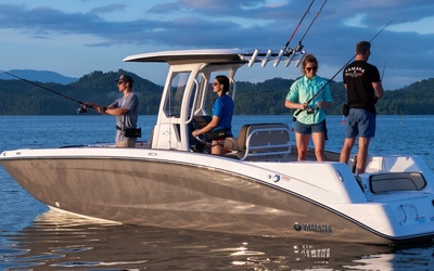 Yamaha 255 FSH Sport E