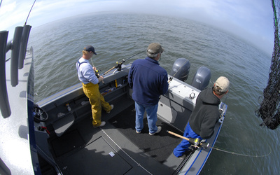 Duckworth 26 Offshore