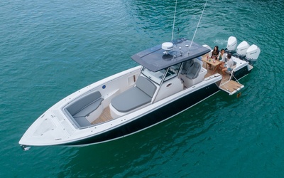 Fishing Raptor 390 Solarium
