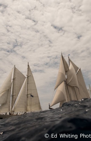 Leviathan of the seas