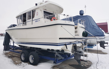 Sargo 31 (2008)