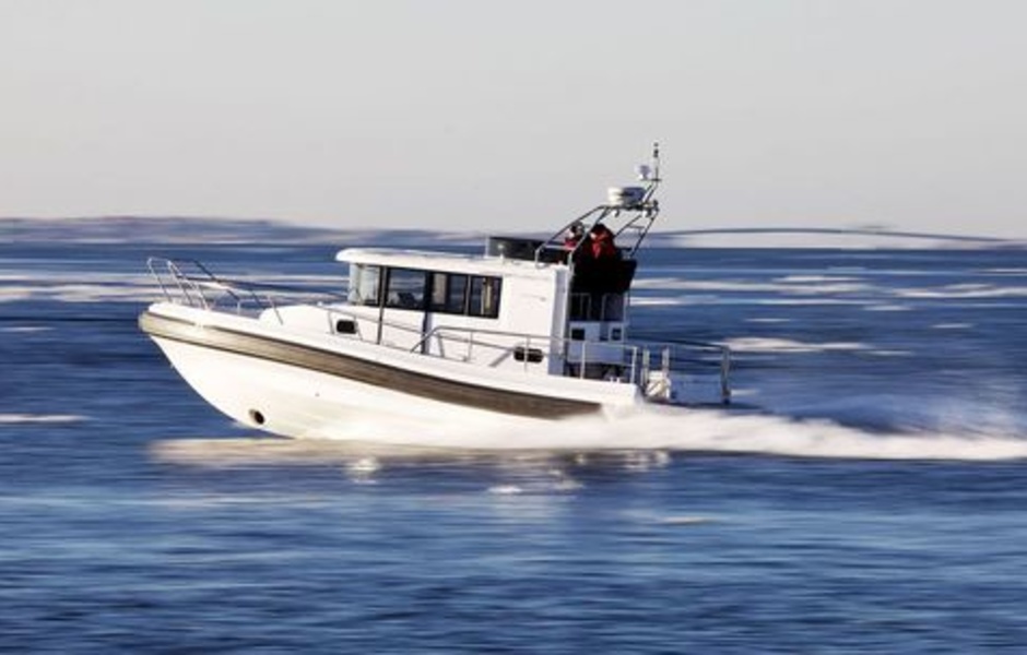 Paragon 31