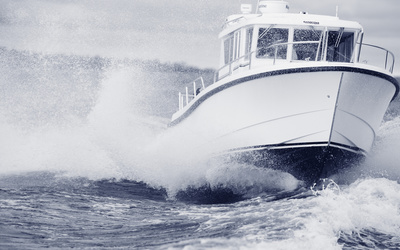 Sargo 28
