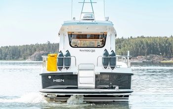 Sargo 31 (2016)