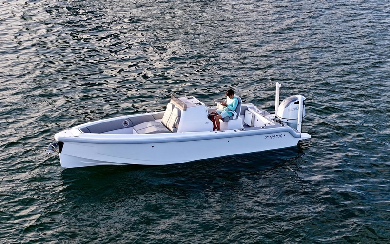 Dynamic D250DF