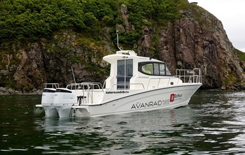AVANRAID F400 FORTUNA (2024)