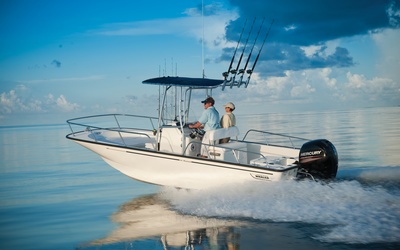 Boston Whaler 210 Montauk