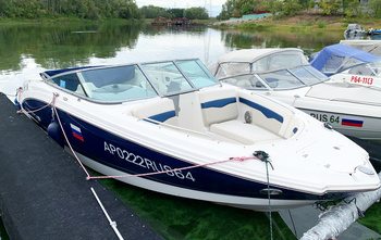 Chaparral 246 SSi