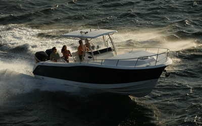 Fishing Raptor 320 Cuddy