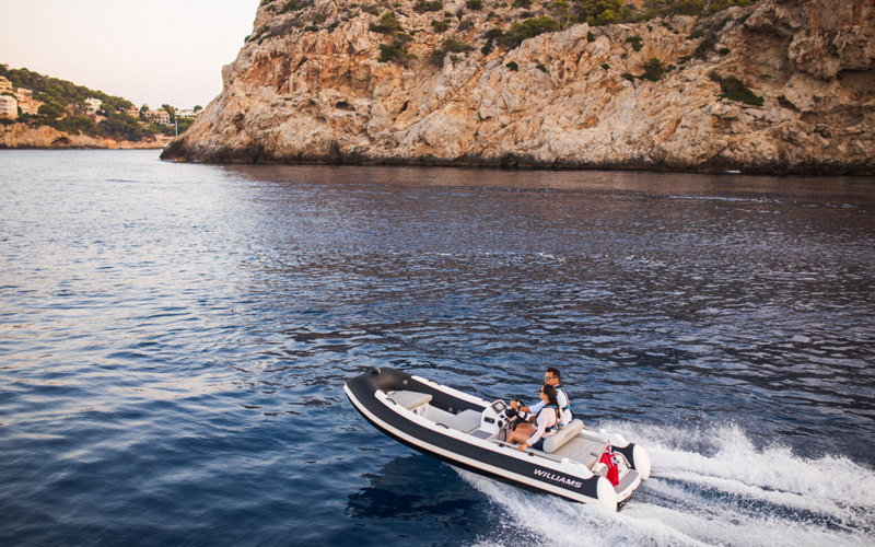 Williams SPORTJET 435