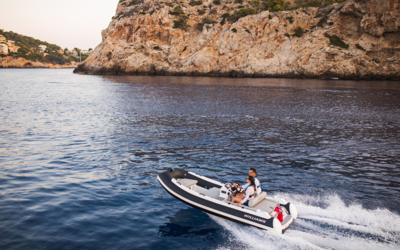 Williams SPORTJET 435