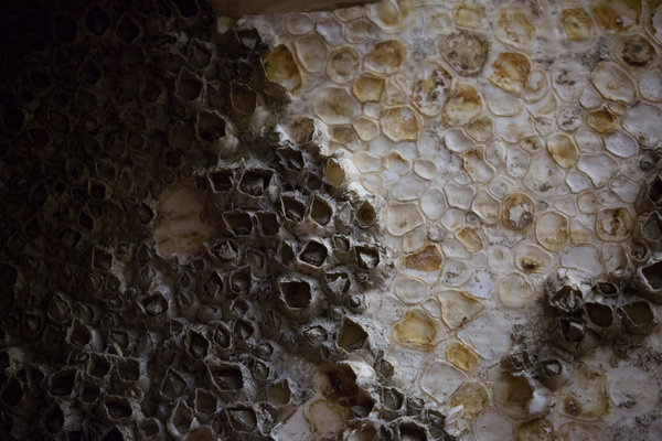 Shells inside the Western Flyer case. The boat has sank at least three times in its hard life.