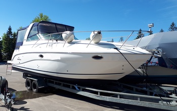 Rinker 310 EC (2006)