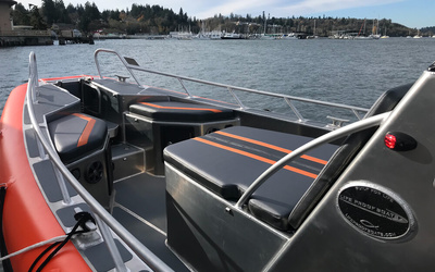 Life Proof 31 Hard Top