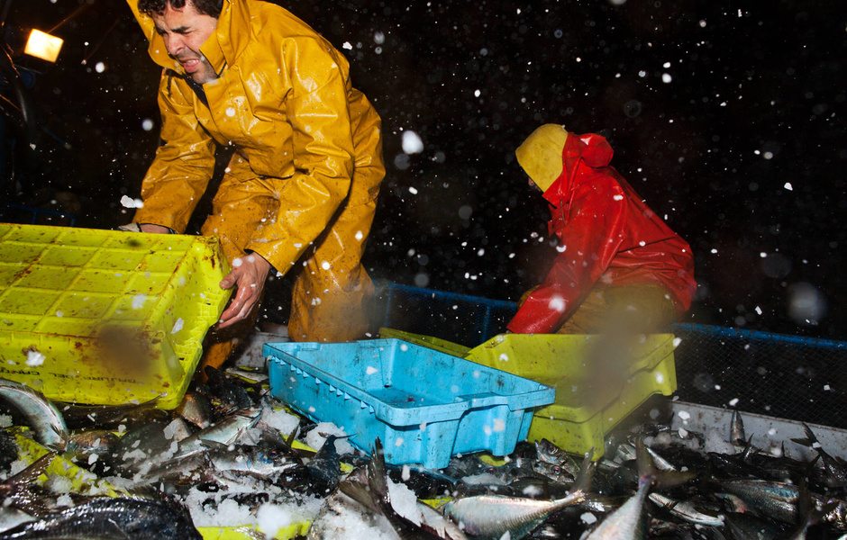 Серия: Fish-work Europe. Фото: Corey Arnold