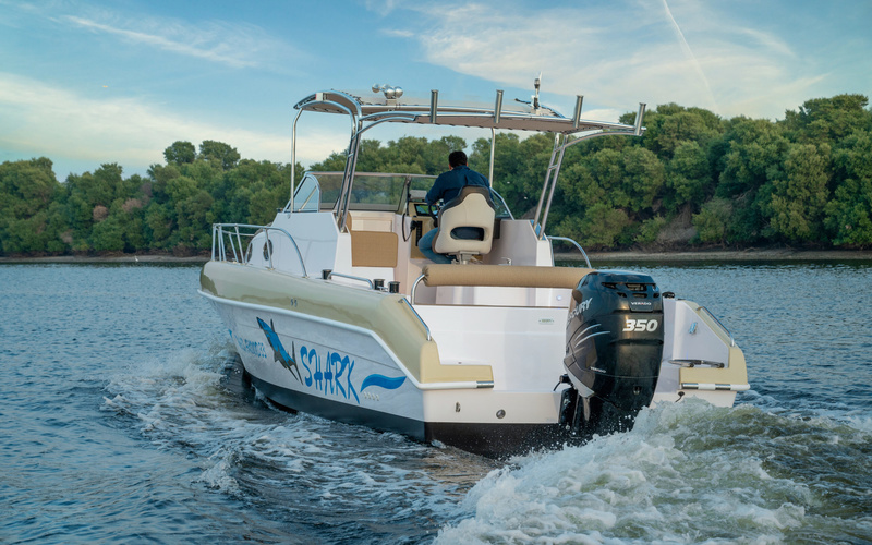 Al Shaali Shark 33 Walk Around