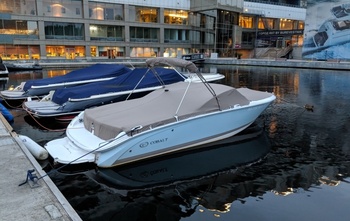 Cobalt 220