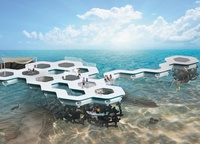 Hexagonal-shaped islets themselves will serve as recreational areas for people: they can be connected to each other like honeycomb, forming artificial beaches, protected pools and even bridges between the two plots of land.  