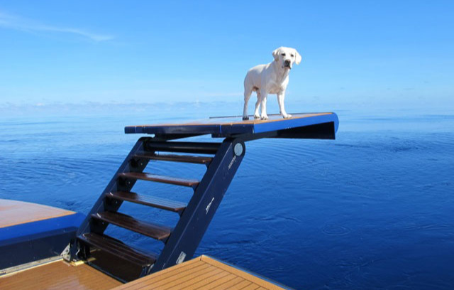 Levi poses on the retractable ladder of The Big Blue.