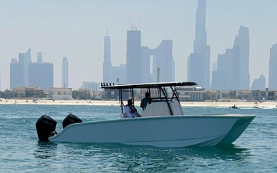 Ocean Boats 29C