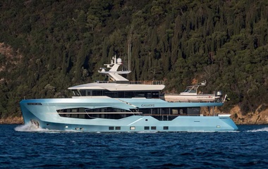 Numarine Persistence