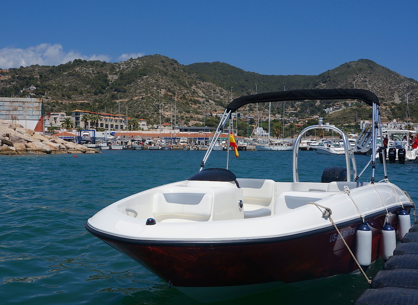 Bayliner Element is a good option for the first boat. Took her and went fishing.