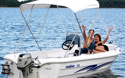 Poseidon Fish 4.70 T