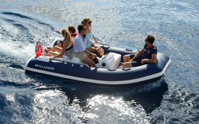 Williams SPORTJET 345