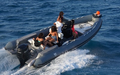 Tiger Marine ProLine 740