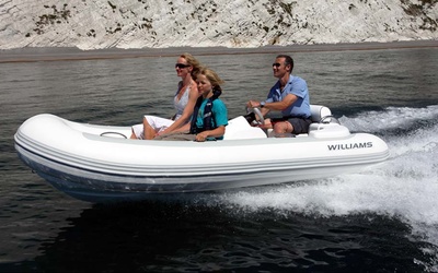 Williams Turbojet 325