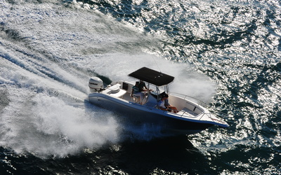 Fishing Raptor 265 CC