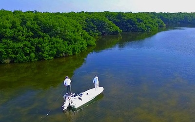 Beavertail Strike 17