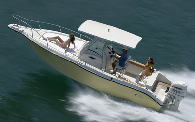 Fishing Raptor 265 Saint Tropez