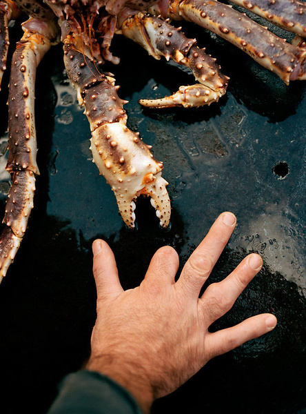 Серия: Fish-work The Bering Sea. Фото: Corey Arnold