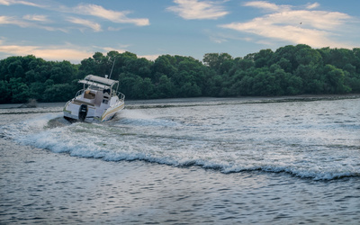 Al Shaali Shark 33 Walk Around